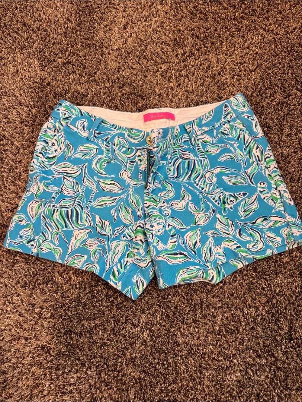 Turquoise Leaf Print Shorts